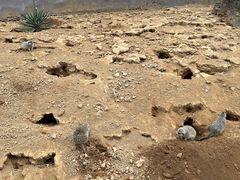 -杭州野生动物世界