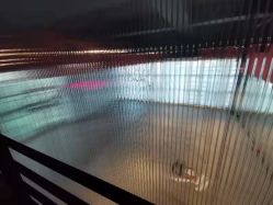 -桃秘钢管舞 Peach Pole Fitness