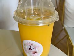 -Husky Go! 哈士奇体验馆·宠物咖啡厅狗咖