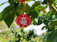 -樱桃山旅游景区