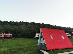 -关山草原