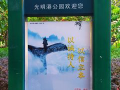 -光明港公园