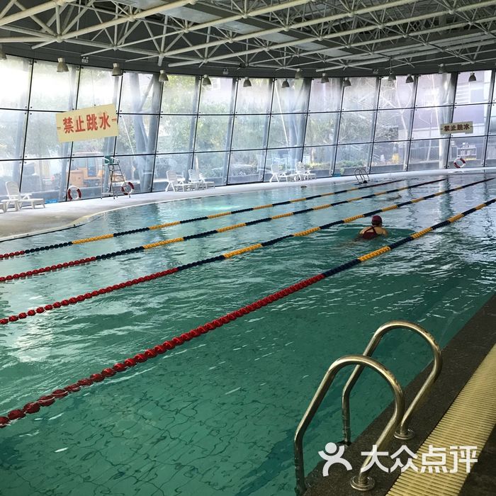 飞鱼游泳培训图片-北京游泳馆-大众点评网