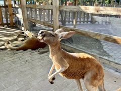 -水上乐园·欢乐世界