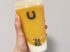 -春丽小马(济南恒隆广场店)
