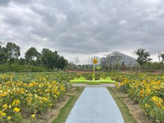 -春花秋色城市公园