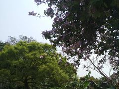 -南丫岛
