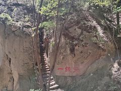 -六里坪国家森林公园