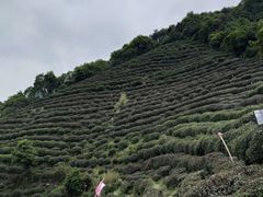 -西湖风景区十里琅珰-五云山