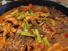 -老板恋上鱼(印象城店)