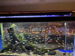 -大江户·温泉洗浴(浑南店)