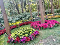 -上海共青森林公园