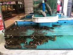 -盆满钵满·国家非遗传承(云台店)