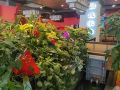 -洞庭家宴·头牌甲鱼(广渠门店)