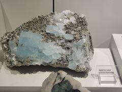 -重庆自然博物馆(新馆)