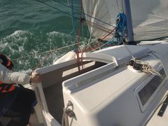 -海豚湾扬帆出海帆船游艇