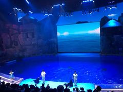 -芜湖新华联大白鲸海洋公园