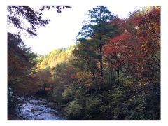 -黎坪国家森林公园