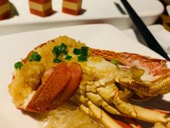 龙虾仔-梧桐