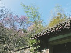 -杭州植物园