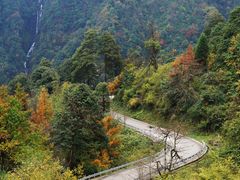 -瓦屋山景区