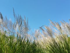 -盘龙城国家考古遗址公园