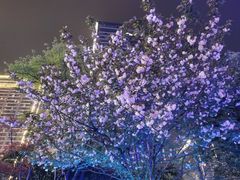 -径山十八道·风味民间菜(杭州总店)