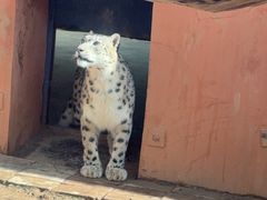 -青藏高原野生动物园