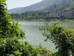 -广州市流溪河国家森林公园