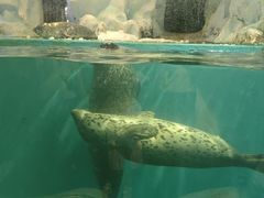 -威海华夏城景区