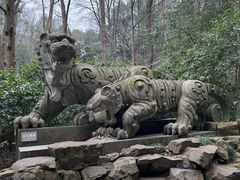 -虎跑公园