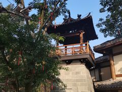 -南山植物园