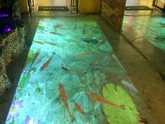 -润青四季音乐主题餐厅·椰子鸡(罗湖店)