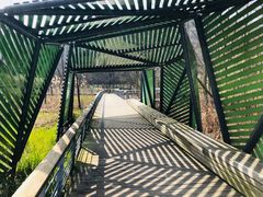 -西湖风景区-江洋畈生态公园