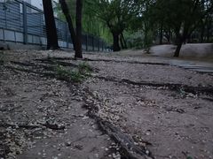 -元大都城垣遗址公园