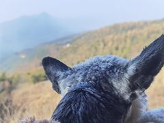 -江南天池
