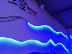 -挂雪铁锅炖大鹅