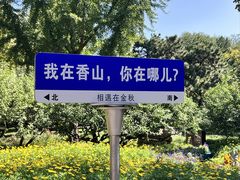 -香山公园