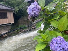 -藏龙百瀑风景区