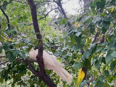 -燕塞湖鸟语林景区