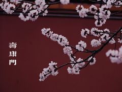 -故宫博物院(故宫)