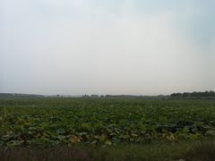 -天津东丽湖风景区