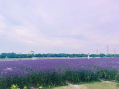 -上海杨姆庄园