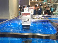 水产区-盒马鲜生(财富中心店)