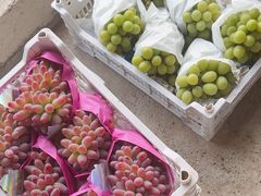 -马陆小张葡萄园农家乐