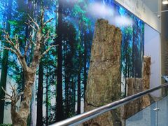 -延庆地质公园博物馆