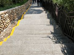 -仙岳公园