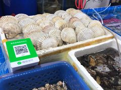 水产区-三亚新鸿港水果一级批发市场