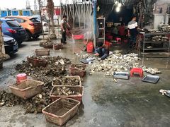 -蚝专家(北滘店)