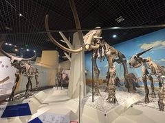 -国家自然博物馆